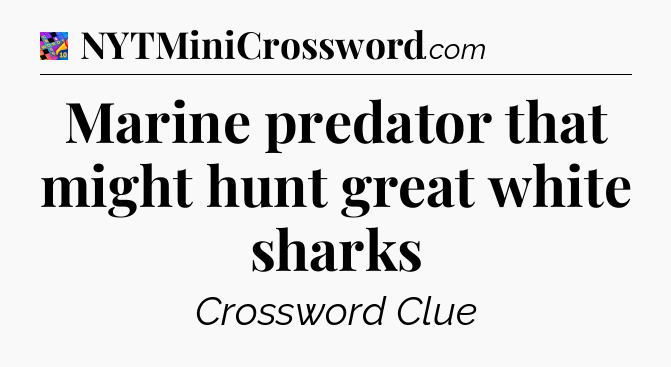 Marine predator that might hunt great white sharks Crossword Clue