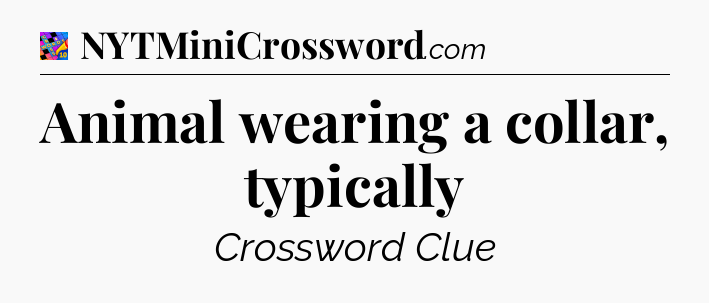 Animal wearing a collar, typically Crossword Clue