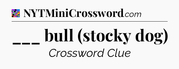___ bull (stocky dog) Crossword Clue