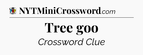 Tree goo Crossword Clue