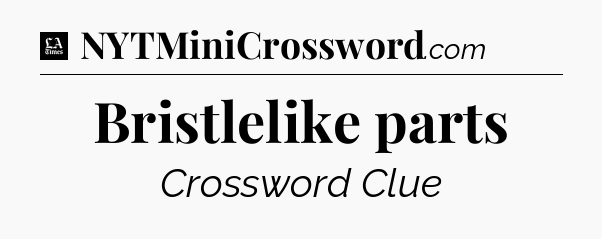 Bristlelike parts - LA Times Crossword