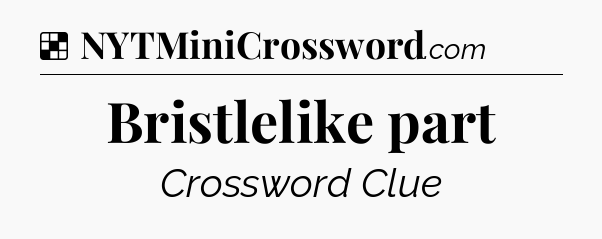 Solution: Bristlelike part - NYT Crossword