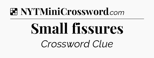 Solution: Small fissures - NYT Crossword