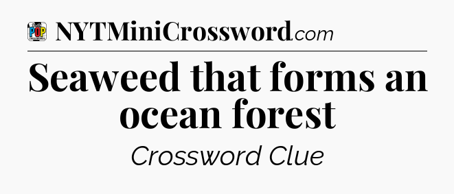 Seaweed that forms an ocean forest Crossword Clue