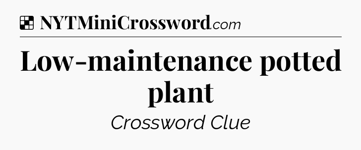Solution: Low-maintenance potted plant - NYT Crossword