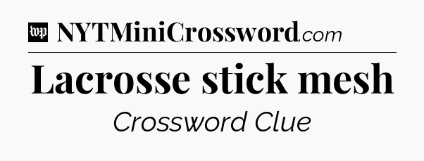 Lacrosse stick mesh Crossword Clue