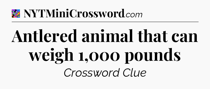 Antlered animal that can weigh 1,000 pounds Crossword Clue