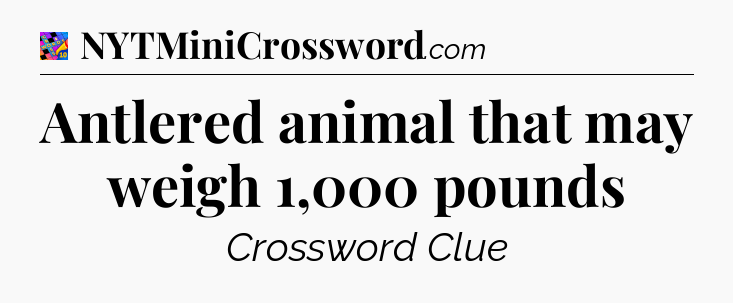 Antlered animal that may weigh 1,000 pounds Crossword Clue