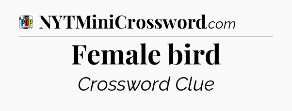 Female bird Crossword Clue