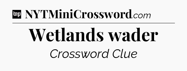 Wetlands wader Crossword Clue