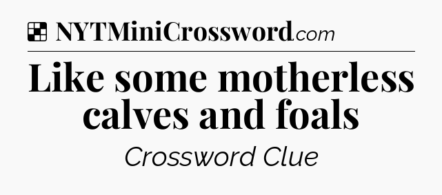 Solution: Like some motherless calves and foals - NYT Crossword