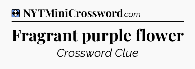 Solution: Fragrant purple flower - NYT Mini Crossword