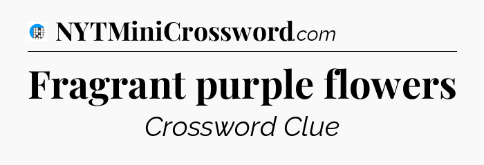 Fragrant purple flowers Crossword Clue