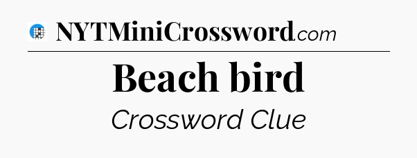 Beach bird Crossword Clue