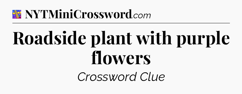 Roadside plant with purple flowers Codycross