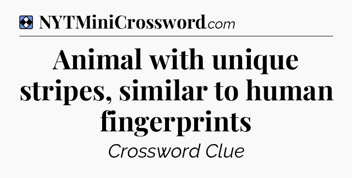 Solution: Animal with unique stripes, similar to human fingerprints - NYT Mini Crossword