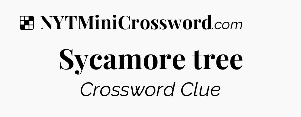 Solution: Sycamore tree - NYT Crossword