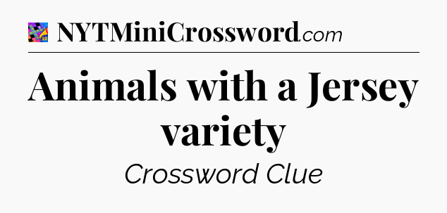 Animals with a Jersey variety Crossword Clue