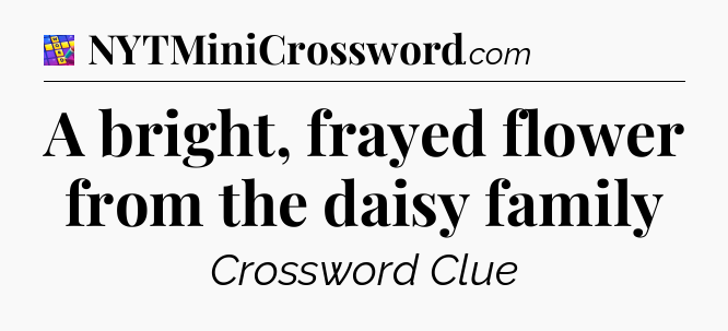 A bright, frayed flower from the daisy family Codycross