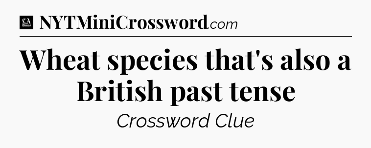 Wheat species that's also a British past tense - LA Times Crossword