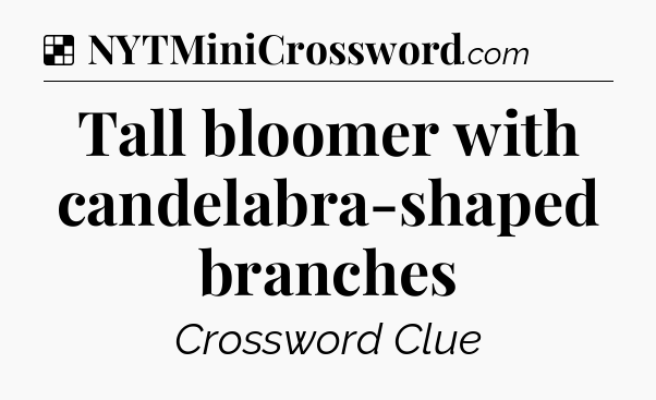 Solution: Tall bloomer with candelabra-shaped branches - NYT Crossword