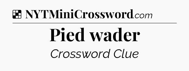 Solution: Pied wader - NYT Crossword