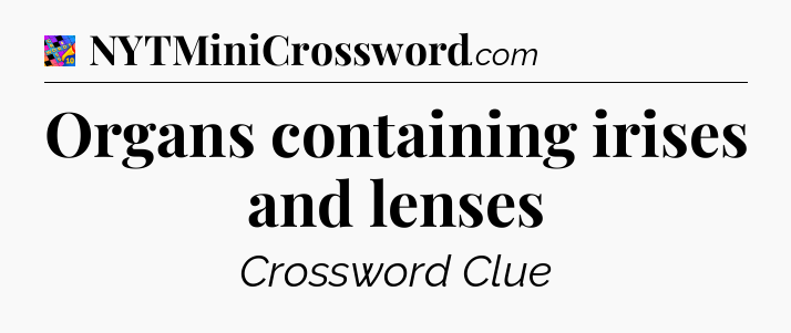 Organs containing irises and lenses Crossword Clue
