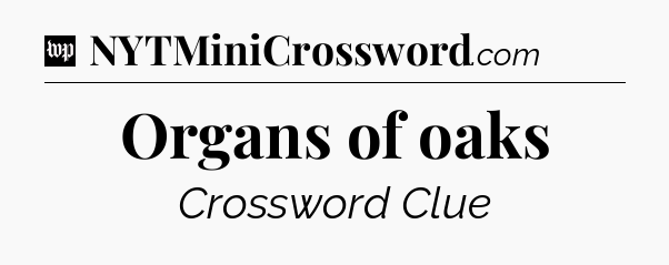 Organs of oaks Crossword Clue