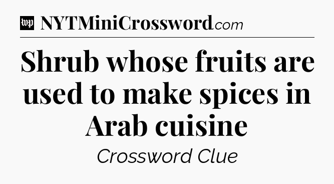 Shrub whose fruits are used to make spices in Arab cuisine Crossword Clue