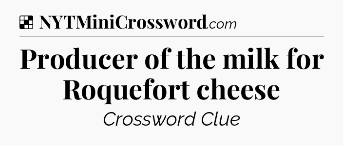 Solution: Producer of the milk for Roquefort cheese - NYT Crossword
