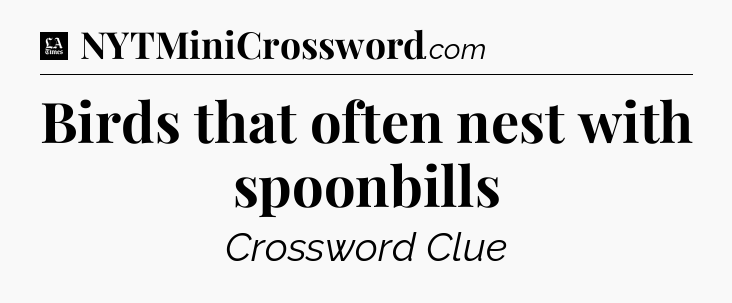 Birds that often nest with spoonbills - LA Times Crossword