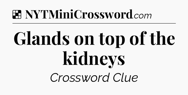 Solution: Glands on top of the kidneys - NYT Crossword