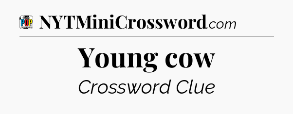 Young cow Crossword Clue