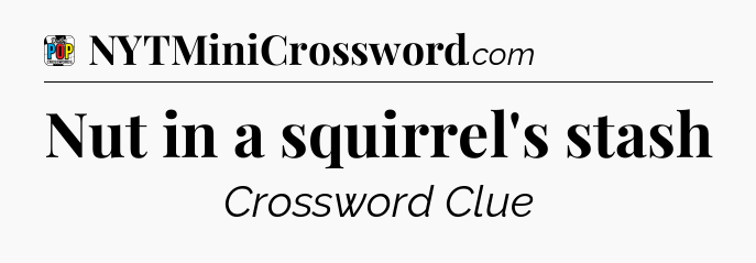 Nut in a squirrel's stash Crossword Clue