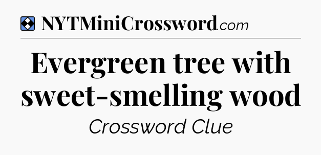 Solution: Evergreen tree with sweet-smelling wood - NYT Mini Crossword