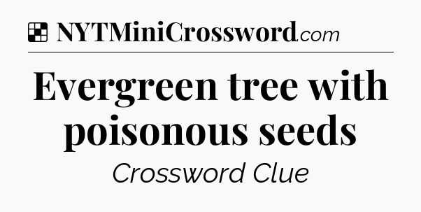 Solution: Evergreen tree with poisonous seeds - NYT Crossword