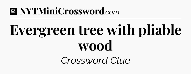 Evergreen tree with pliable wood - LA Times Crossword