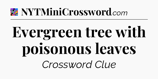 Evergreen tree with poisonous leaves Crossword Clue