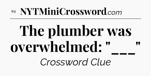 The plumber was overwhelmed: 