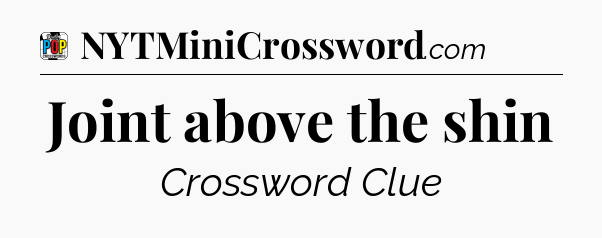 Joint above the shin Crossword Clue
