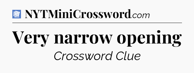 Very narrow opening Puzzle Page Crossword Clue