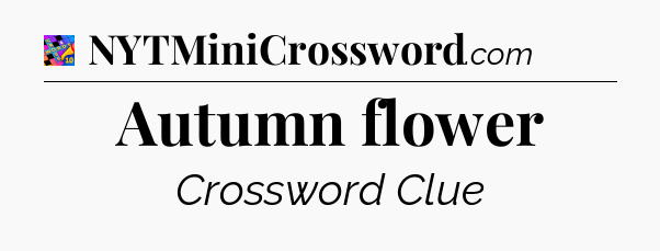 Autumn flower Crossword Clue