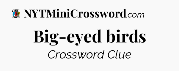 Big-eyed birds Crossword Clue