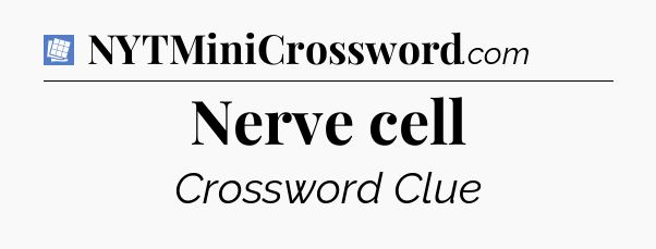 Nerve cell Puzzle Page Crossword Clue