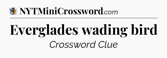 Everglades wading bird Crossword Clue