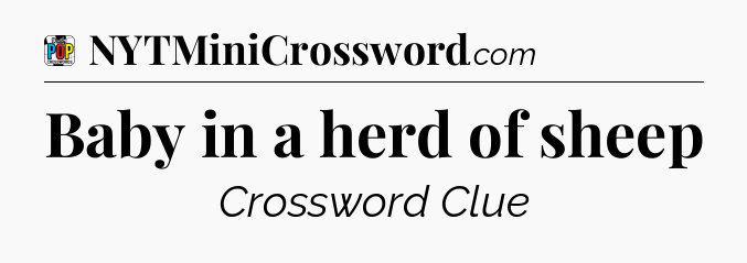 Baby in a herd of sheep Crossword Clue