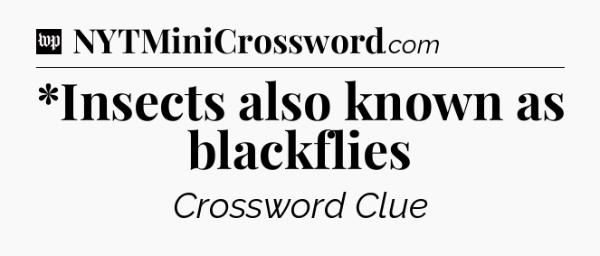 *Insects also known as blackflies Crossword Clue