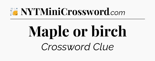 Maple or birch - 7 Little Words