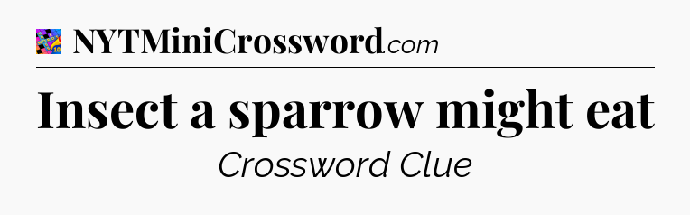 Insect a sparrow might eat Crossword Clue