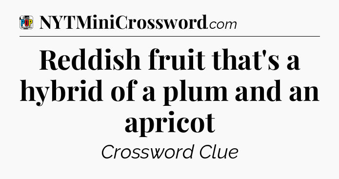 Reddish fruit that's a hybrid of a plum and an apricot Crossword Clue